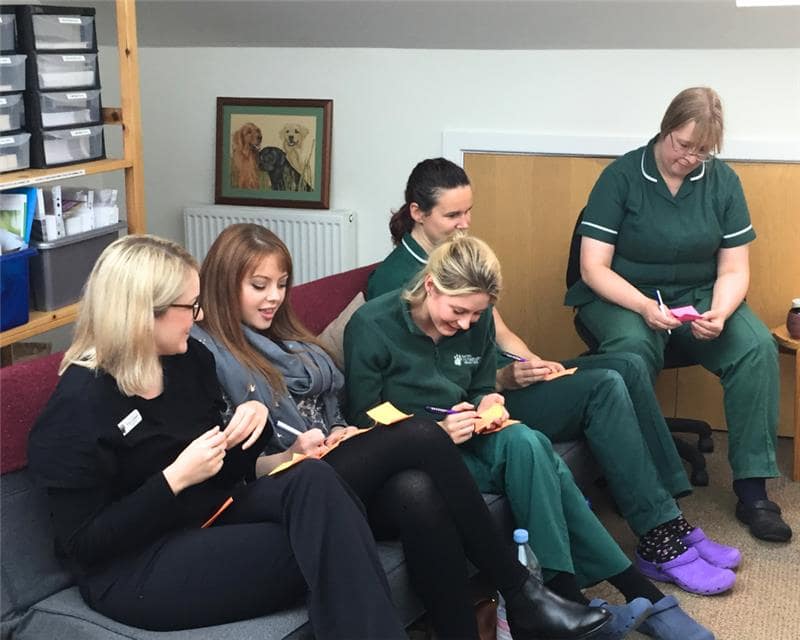Veterinary Team Training Gallery (11)