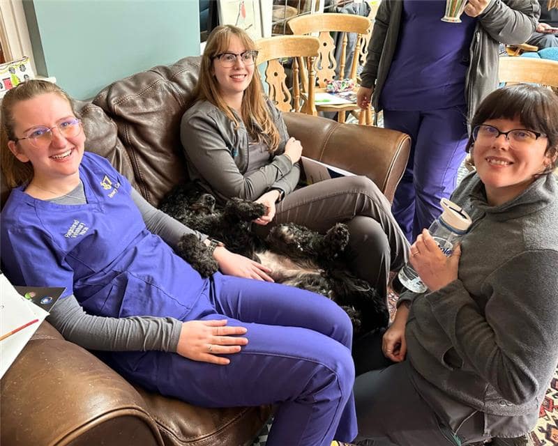 Veterinary Team Training Gallery (2)