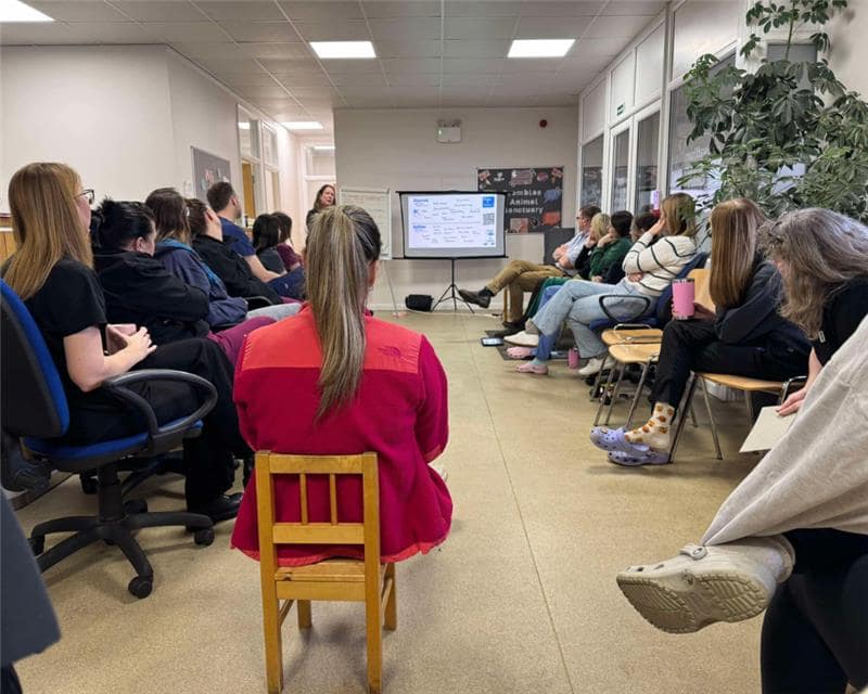 Veterinary Team Training Gallery (9)